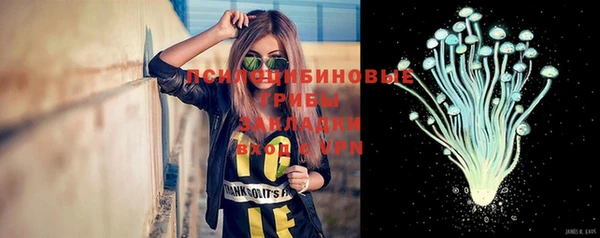 PSILOCYBIN Снежинск