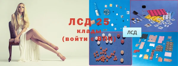 молекула духа Бородино