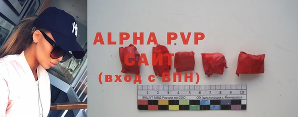 молекула духа Бородино