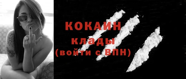 винт Верея