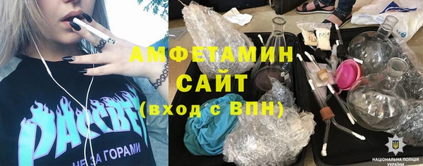молекула духа Бородино
