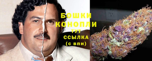 винт Верея