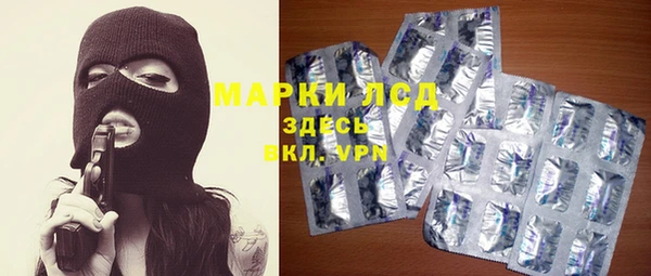 молекула духа Бородино