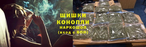 молекула духа Бородино