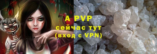 винт Верея