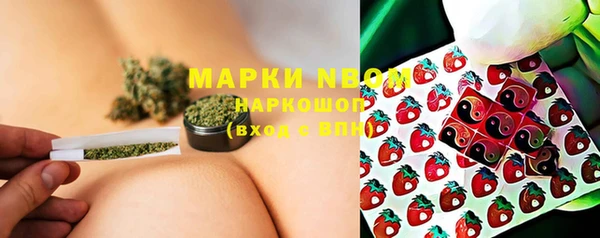молекула духа Бородино